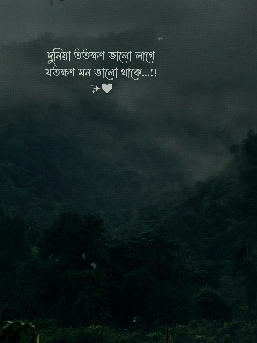@Mitul Rahman