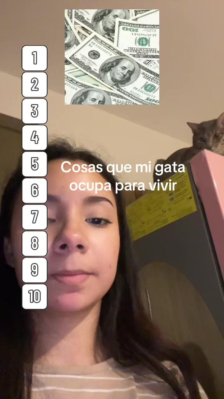 @karimongeli