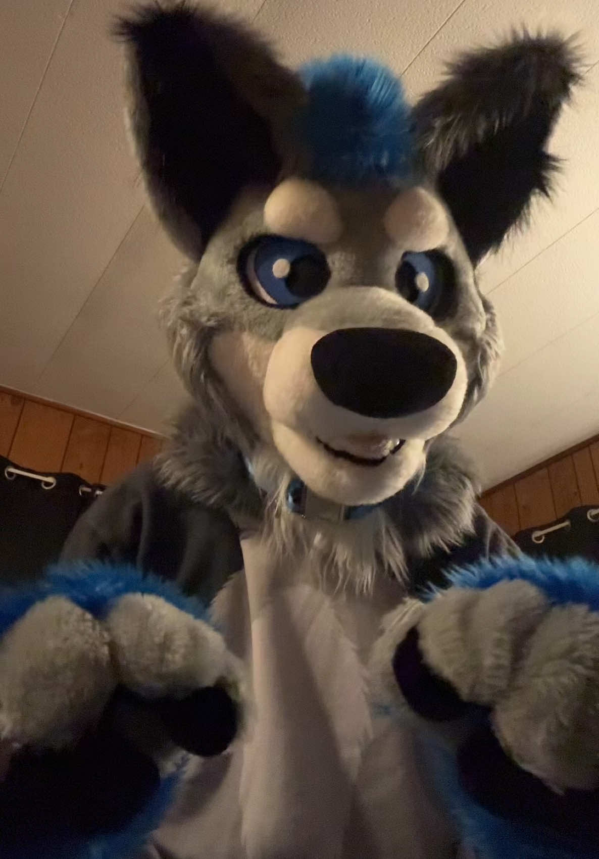@BlueSilver_Wolf