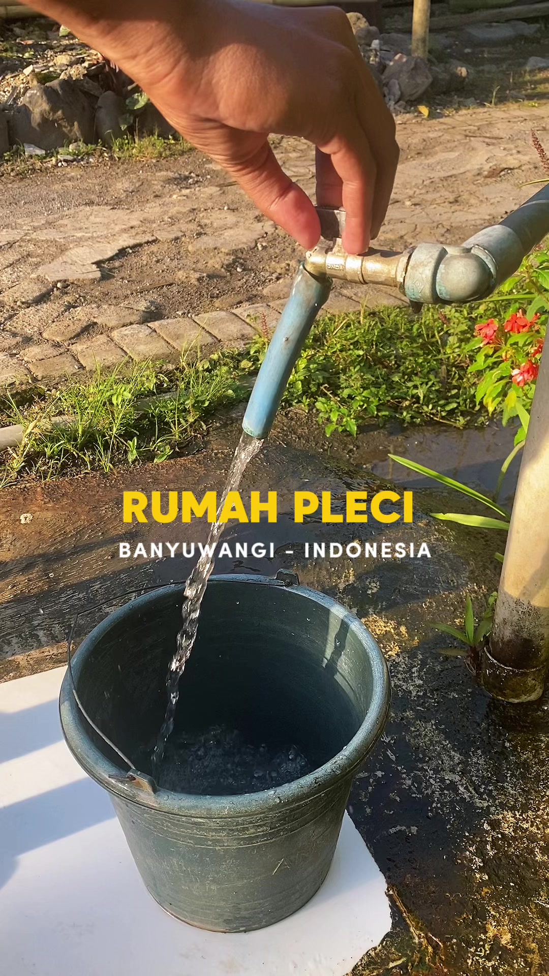 @RUMAH PLECI BANYUWANGI