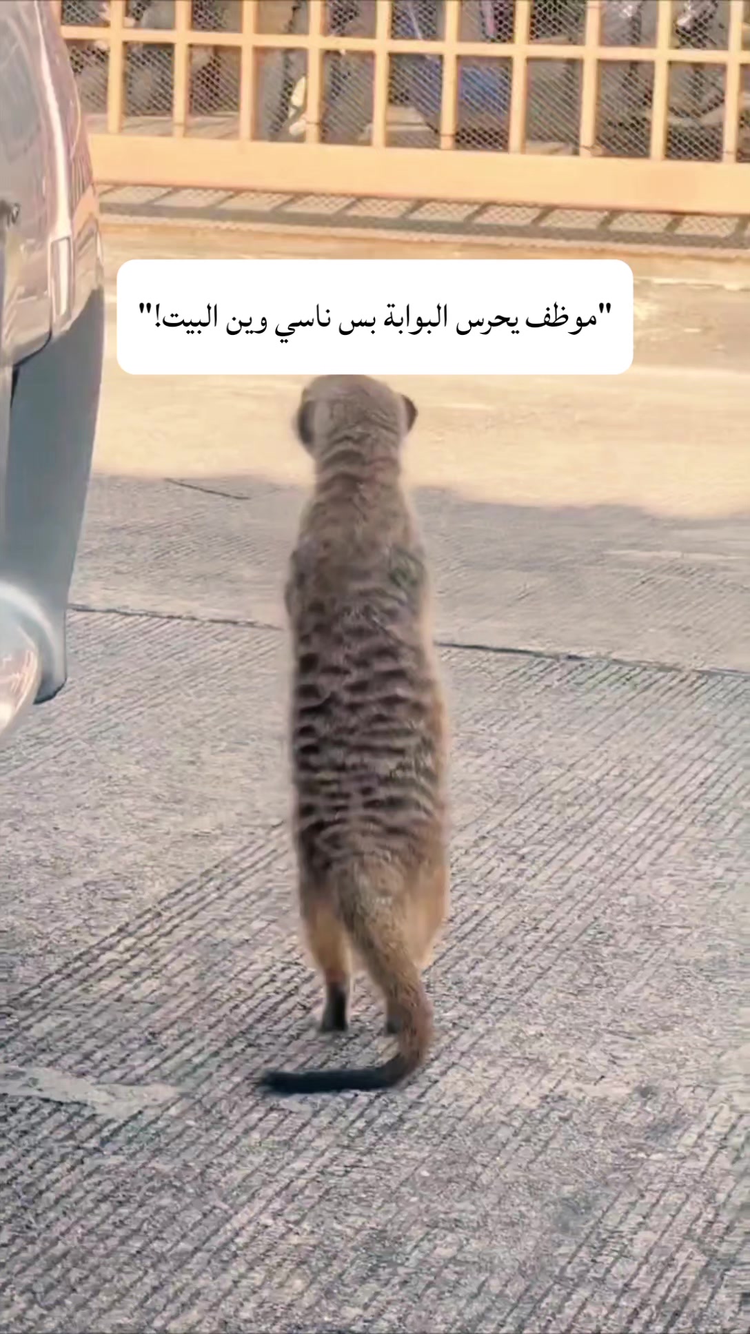 @.❝Ƴᗣᕼ5580❝