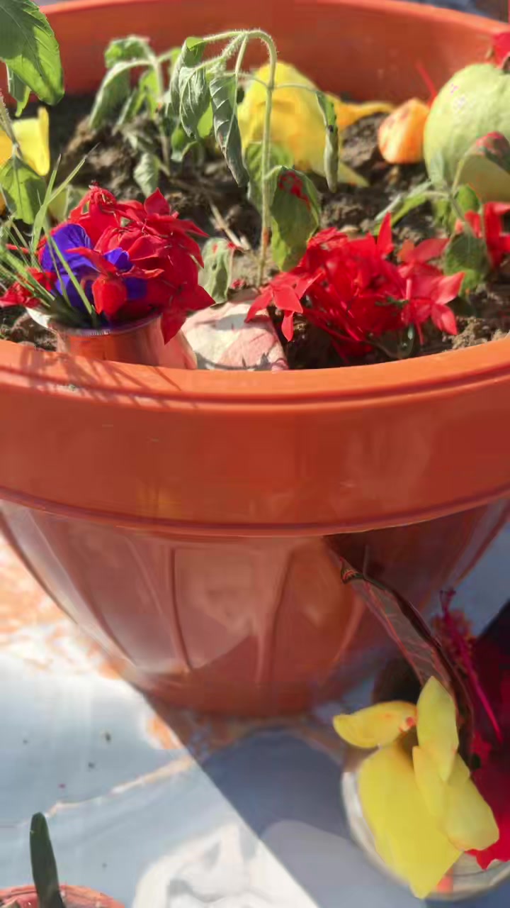 @पुजा 🥀🦚