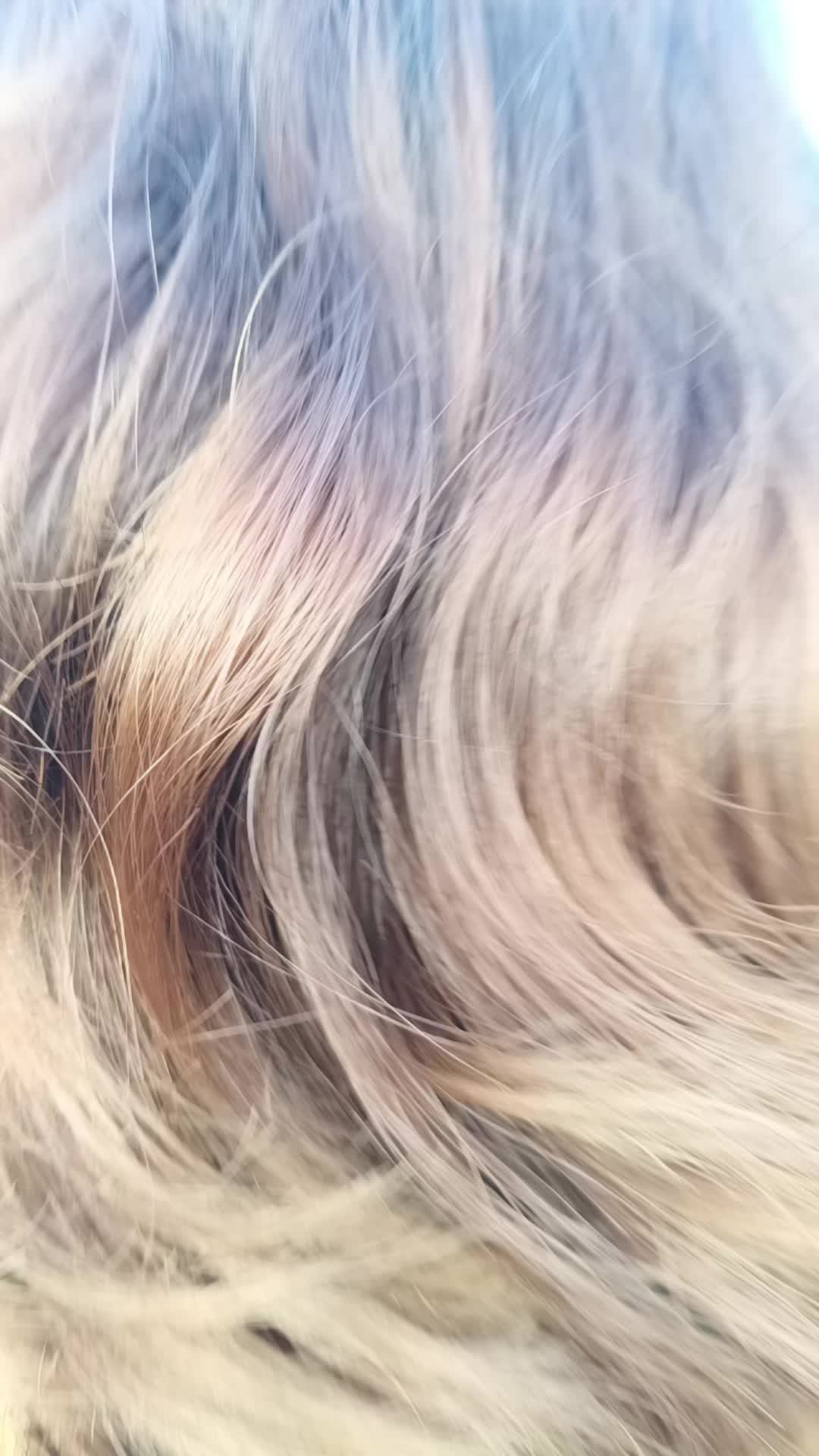 @____Sani04❣️🥀____