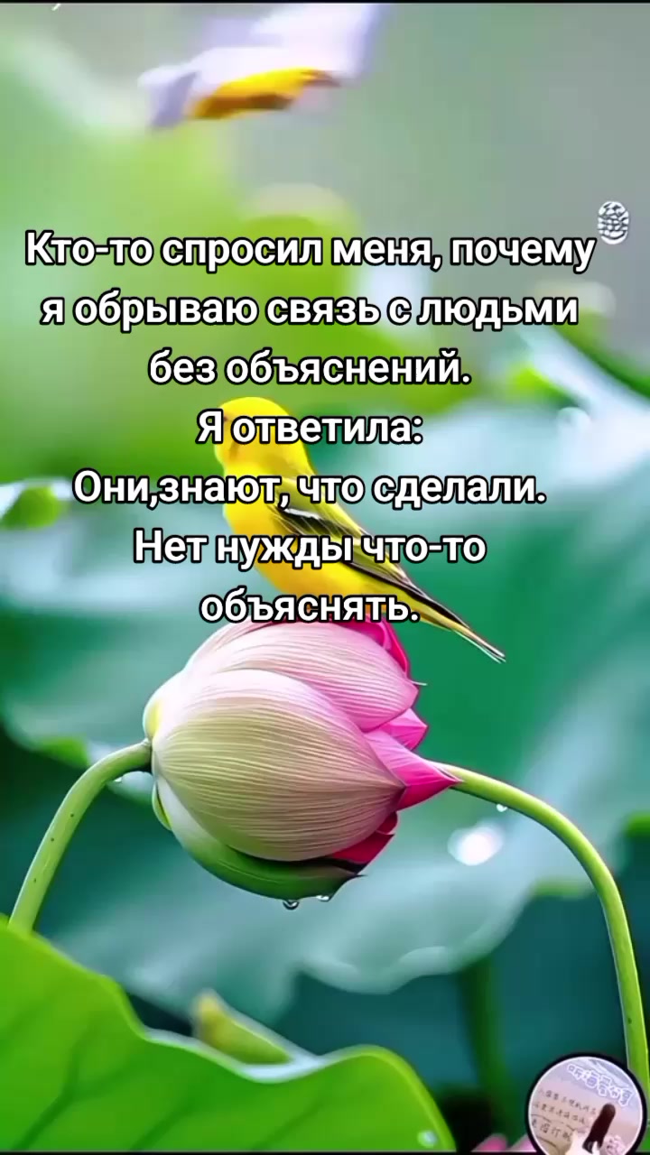 @evgenia zvagincevaevgenia167