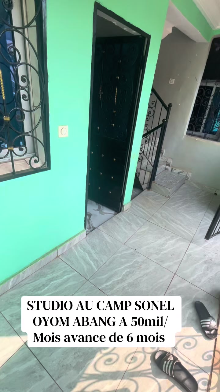 @DINO~IMMO~237🇨🇲🇨🇲
