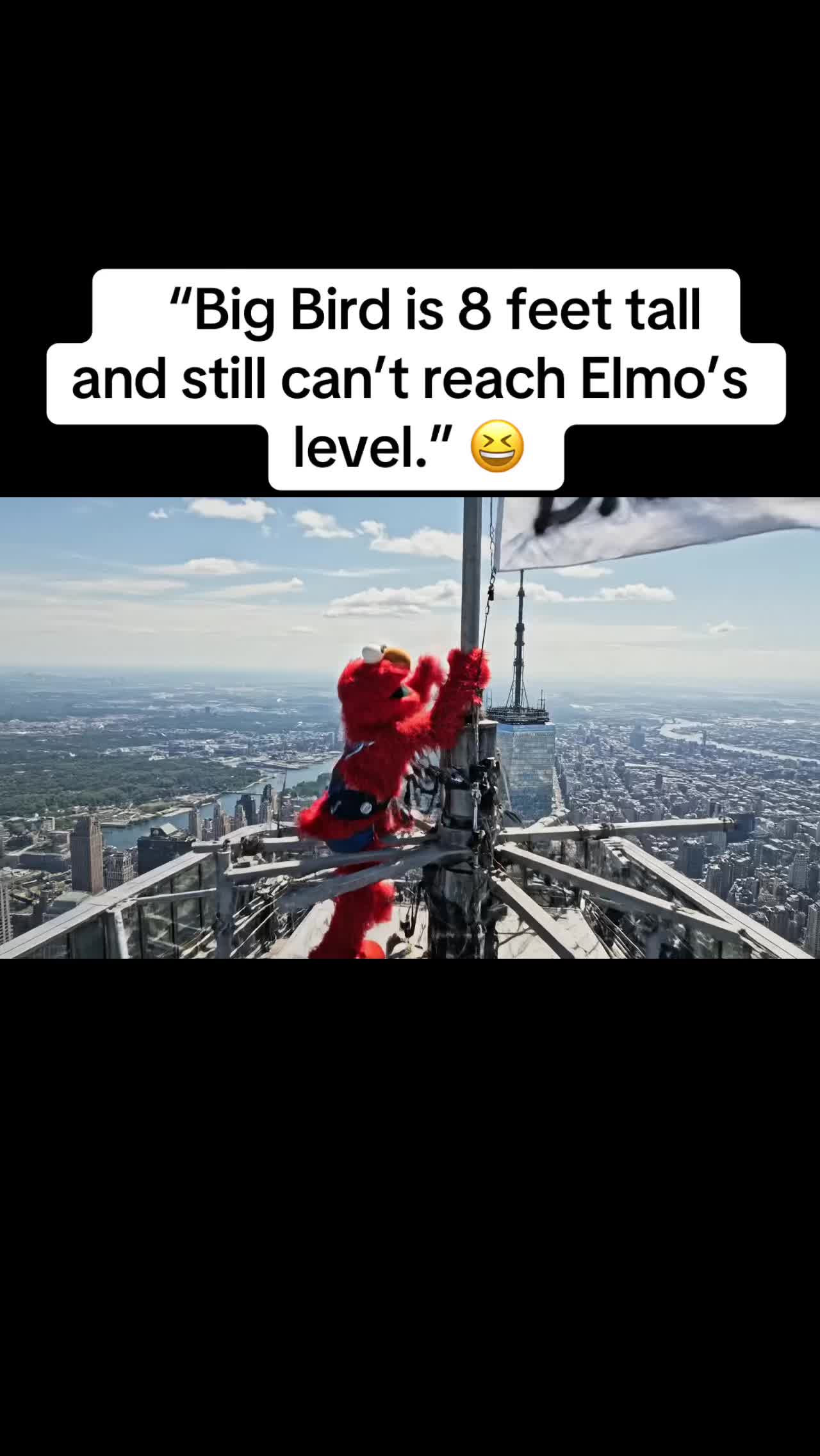 @Gangsta Elmo