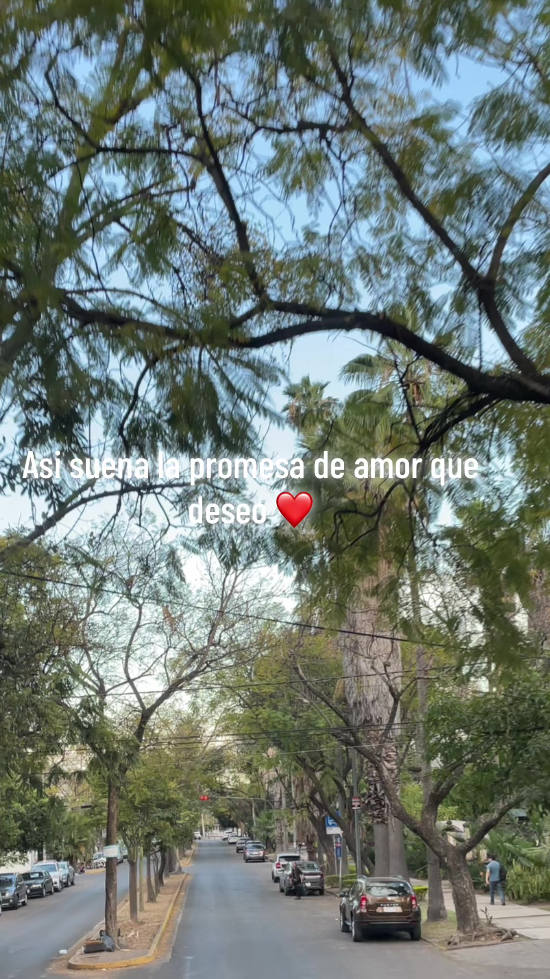 @Sara Mori
