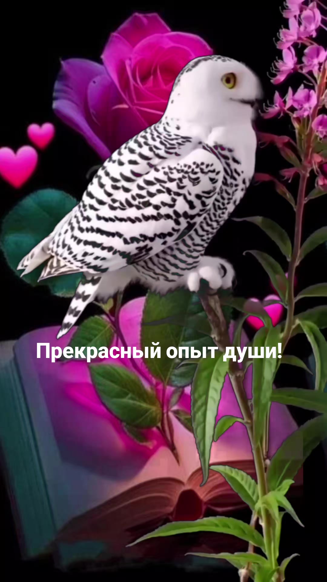 @Мила Телец.