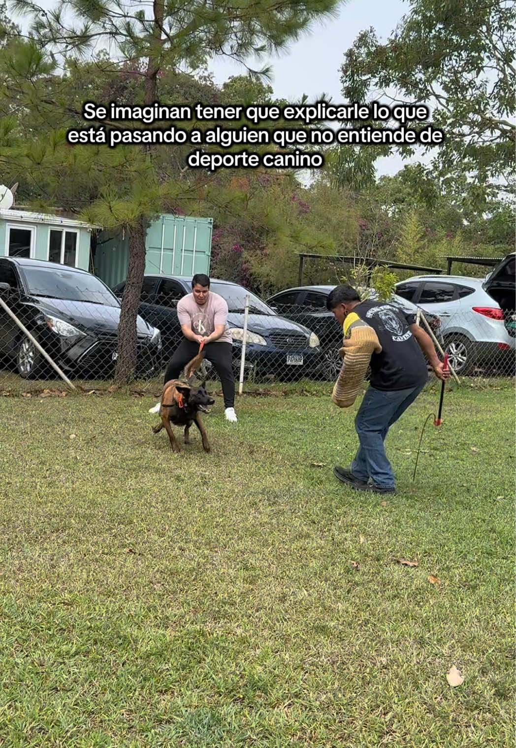 @simon_elmalinois