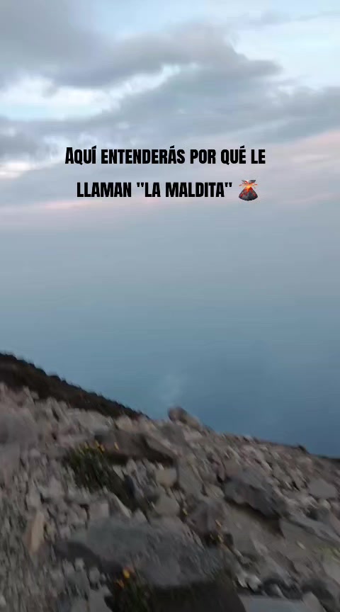 @Fernanda Flores