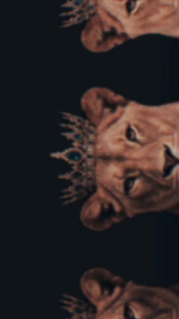 @🦁🇻🇪ᥫ᭡፝֟፝֟S&sigma;ყ ʅ&alpha; Oƚɾ&alpha;🌻🍒