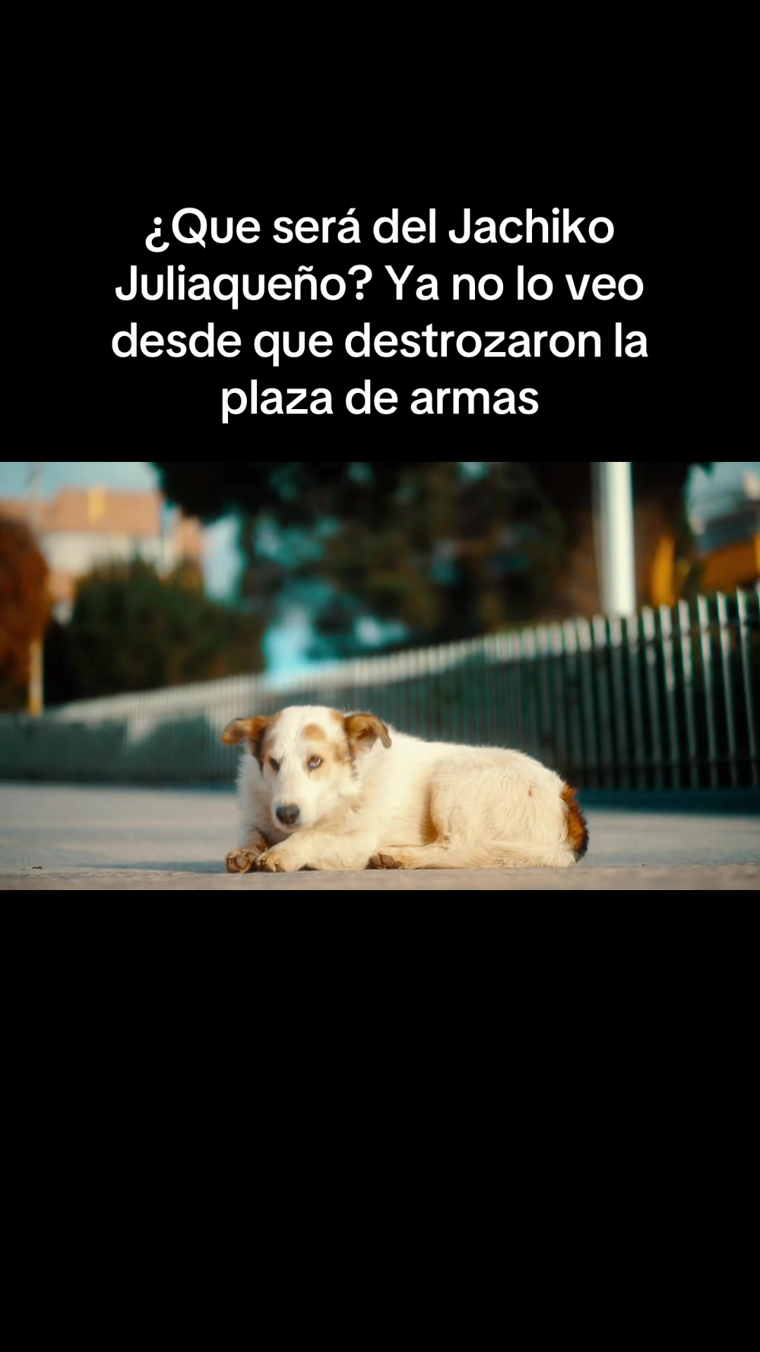 @Jose Carlos