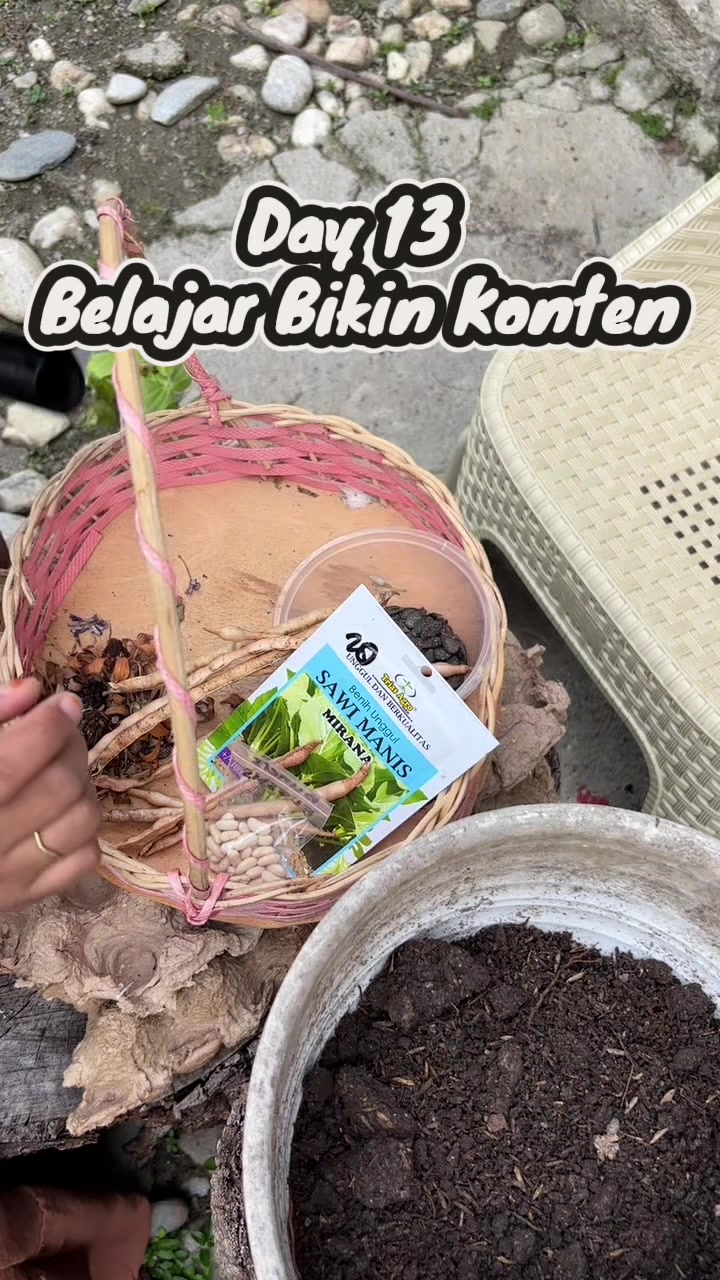 @NopNop