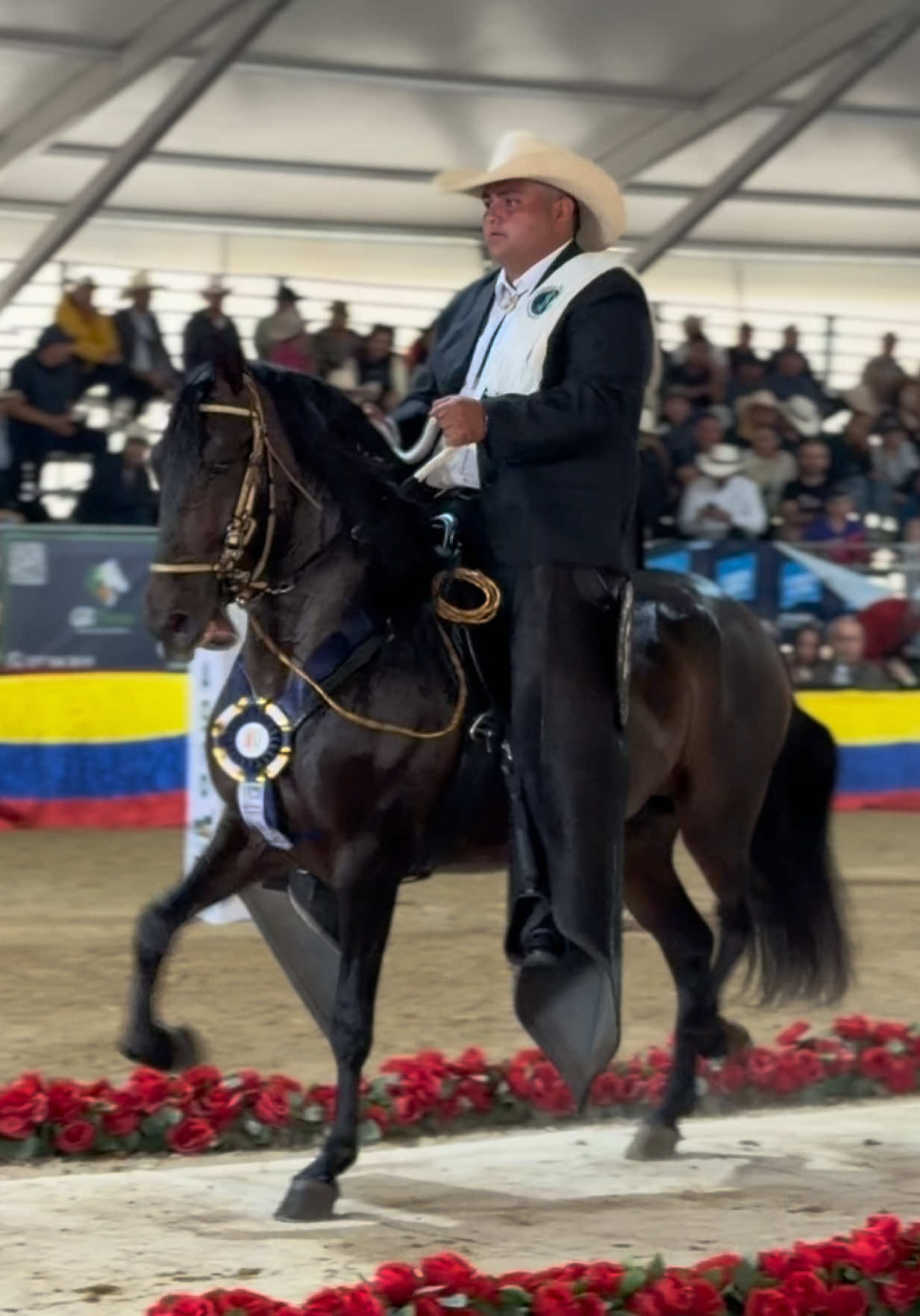 @Solo Caballos
