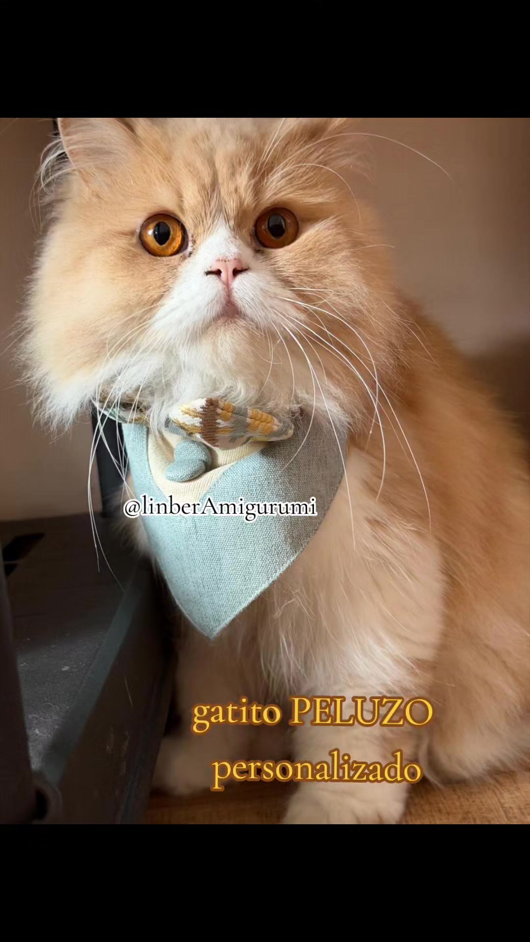 @Linber amigurumi