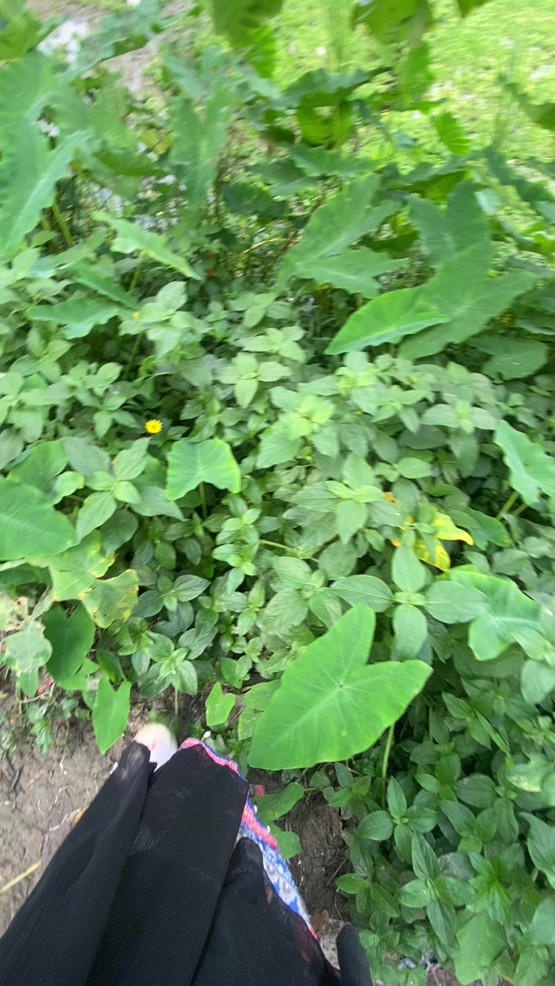 @দুষ্টু মেয়ে মিষ্টি হাসি 🤭🤭
