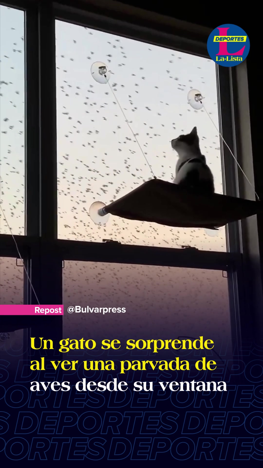 @La-Lista Deportes