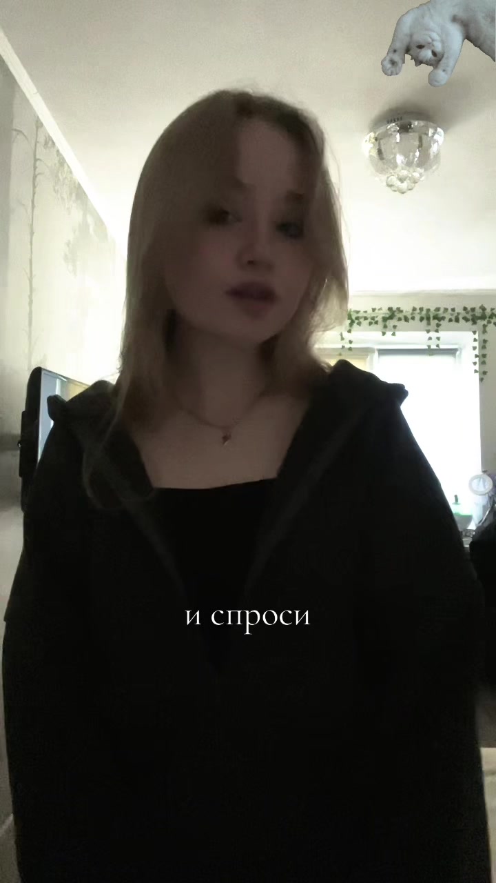 @𝓚𝓲𝓽 𝓚𝓪𝓽