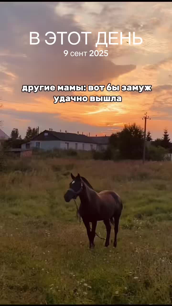 @umago.vitebsk