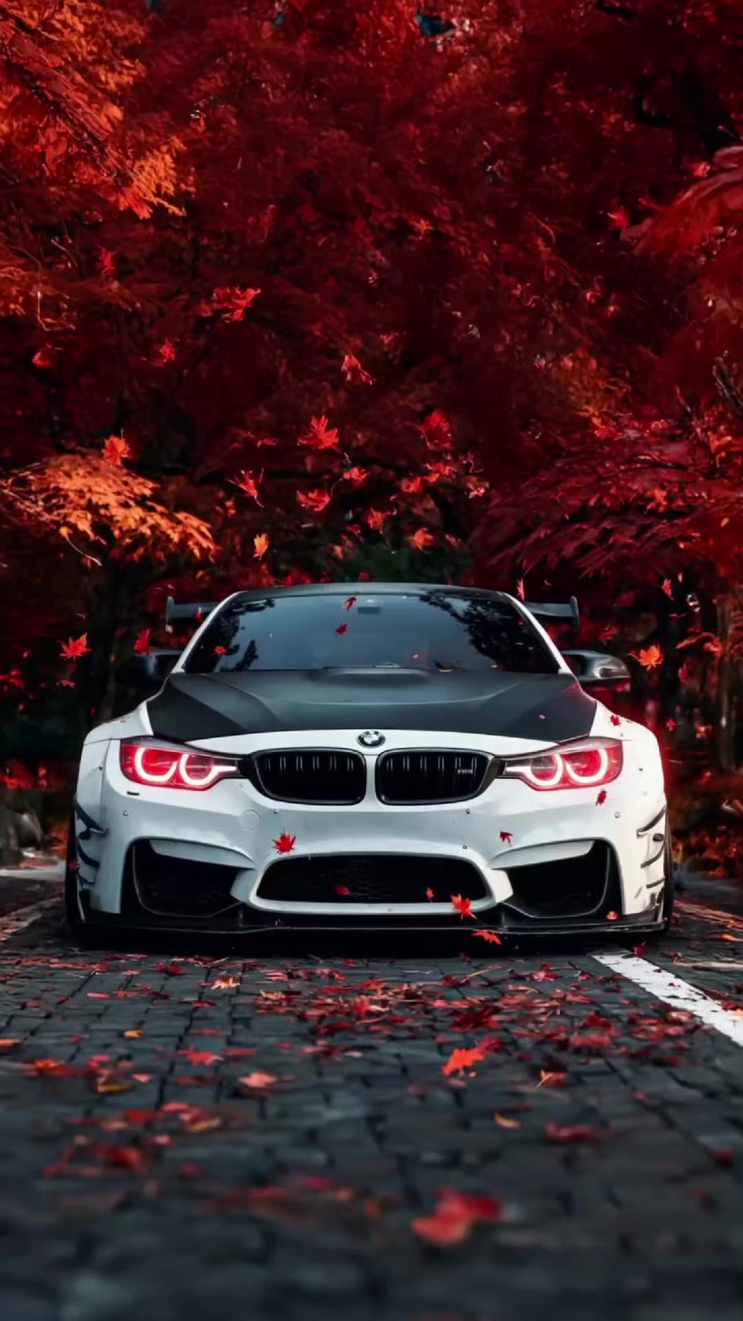 @ƔɪϦƐF.&chi;