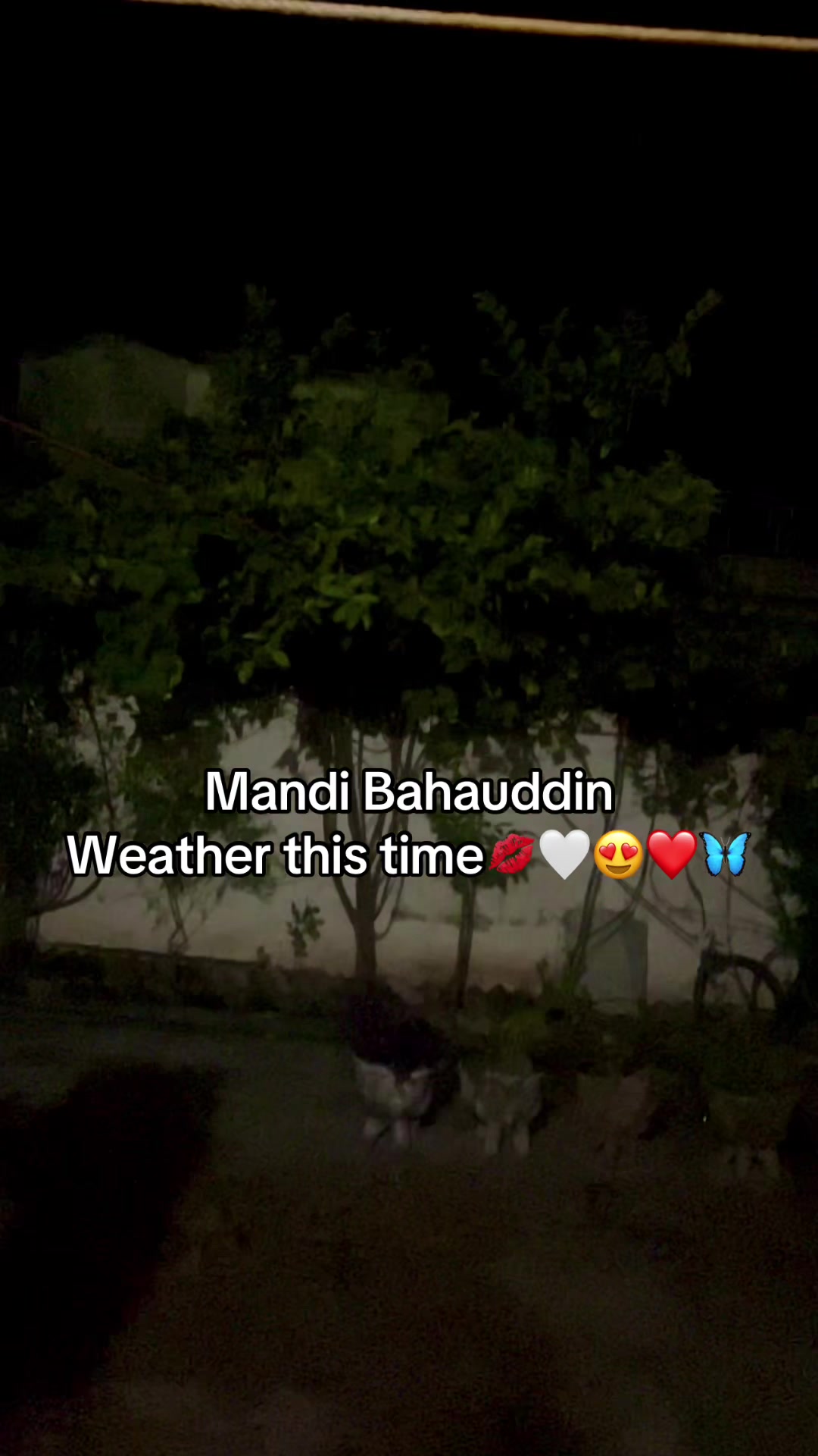 @منڈی سے ہوں یار🦋
