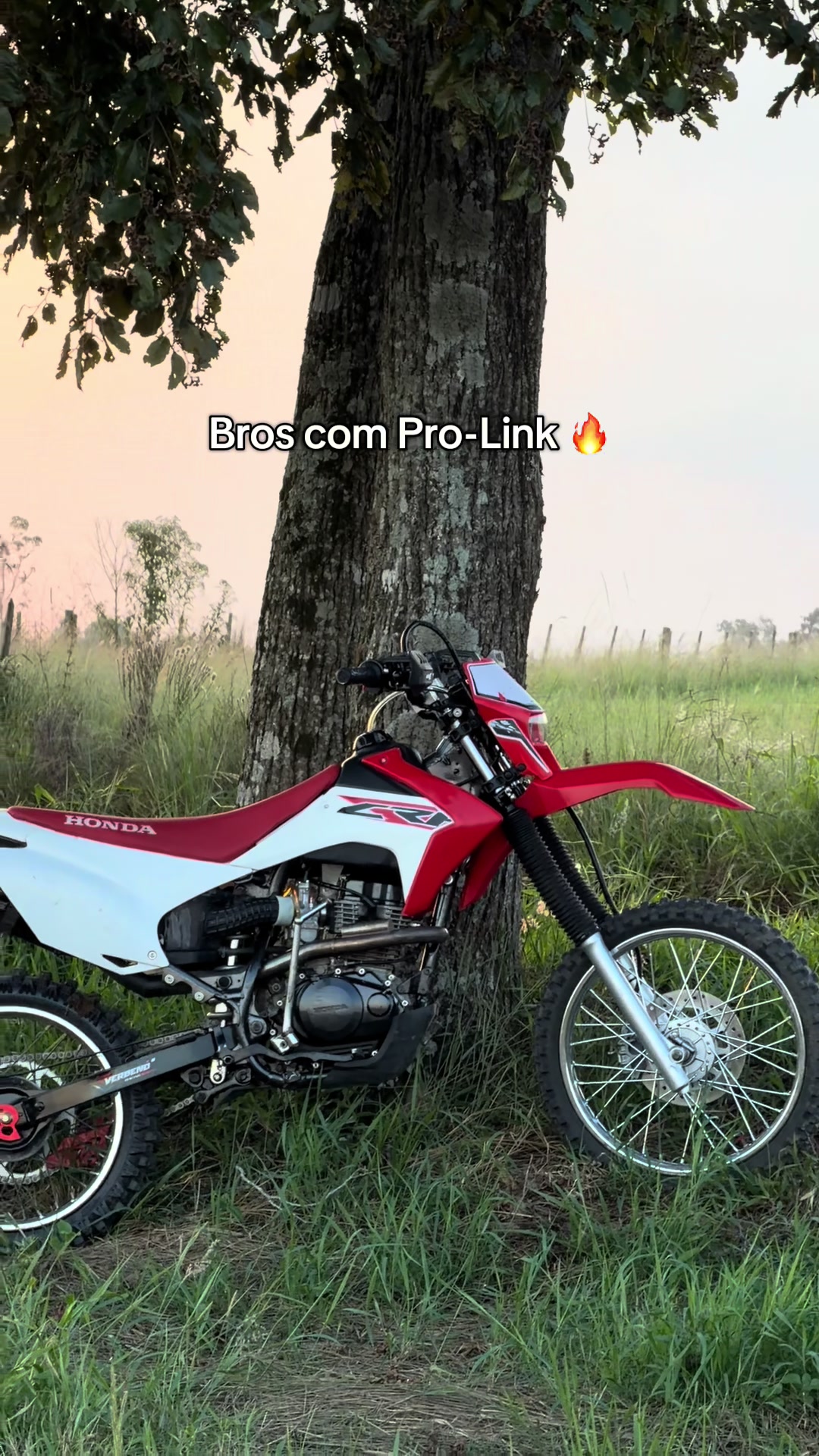 @MessiXmotard