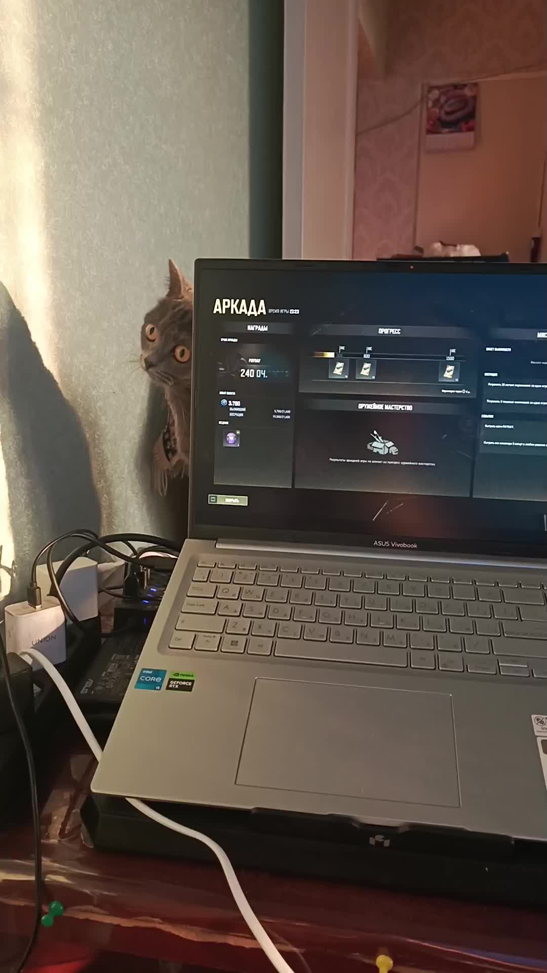 @ЖеНёК