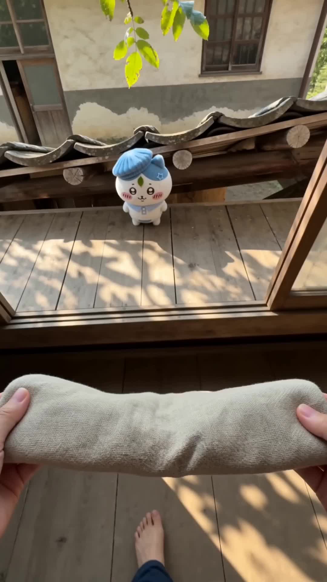 @ハチワレ にゃん