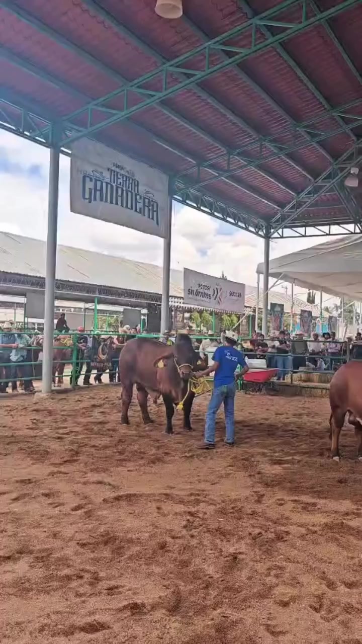 @Rancho Piedra Nube