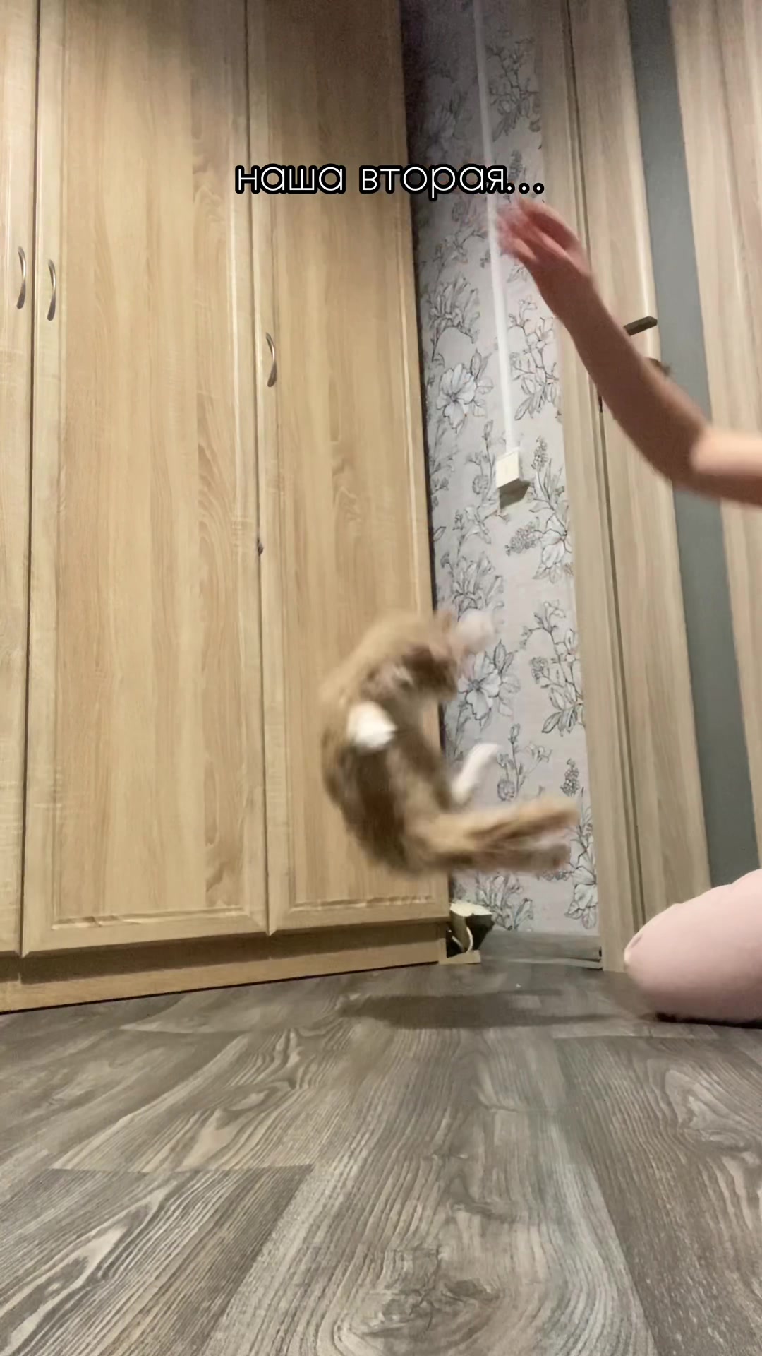 @ленка🤍