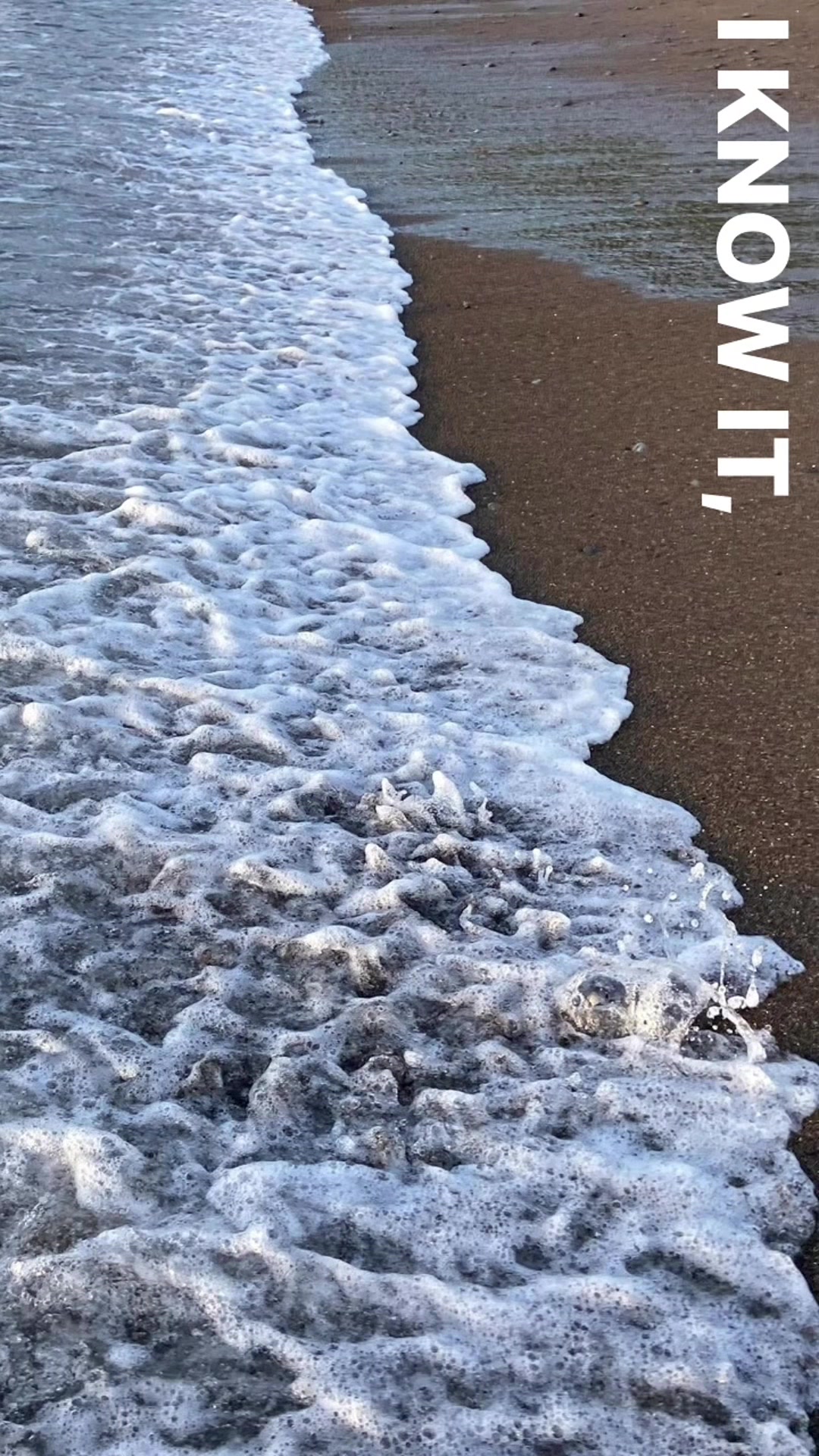 @sunlitsanctuary