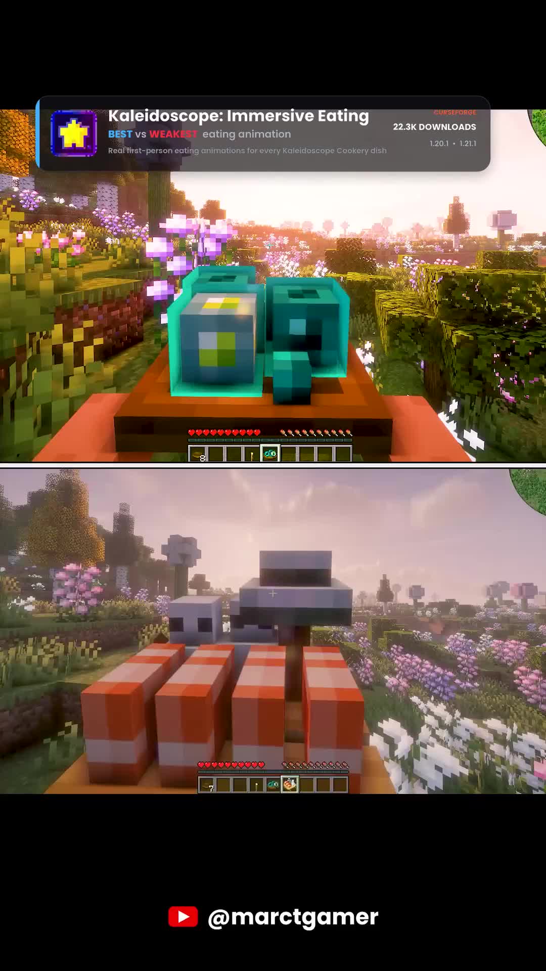 @marctgamer