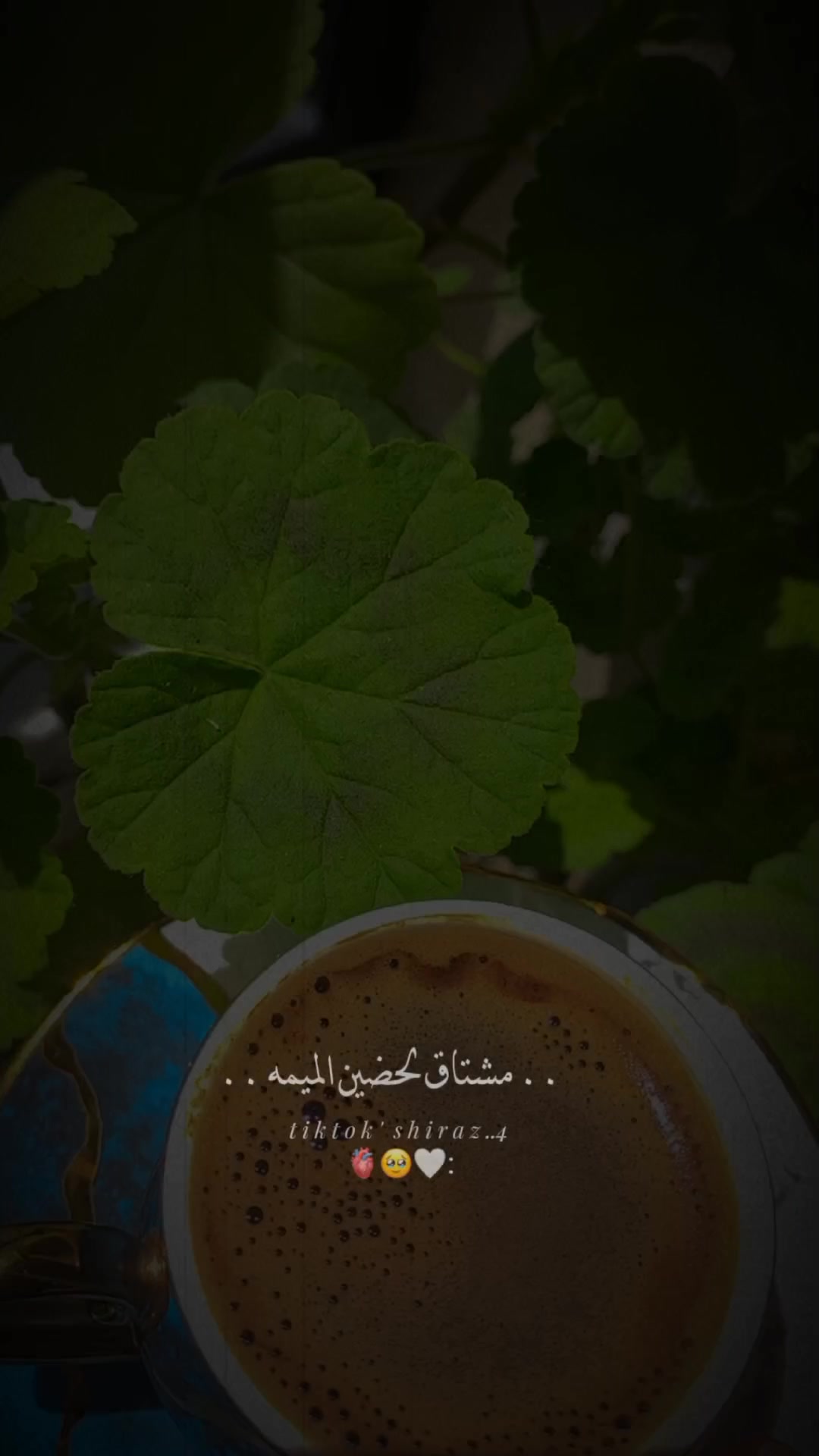 @مـ⃪⃪ݪامح حݪـب⃪⃪يۃة🖤