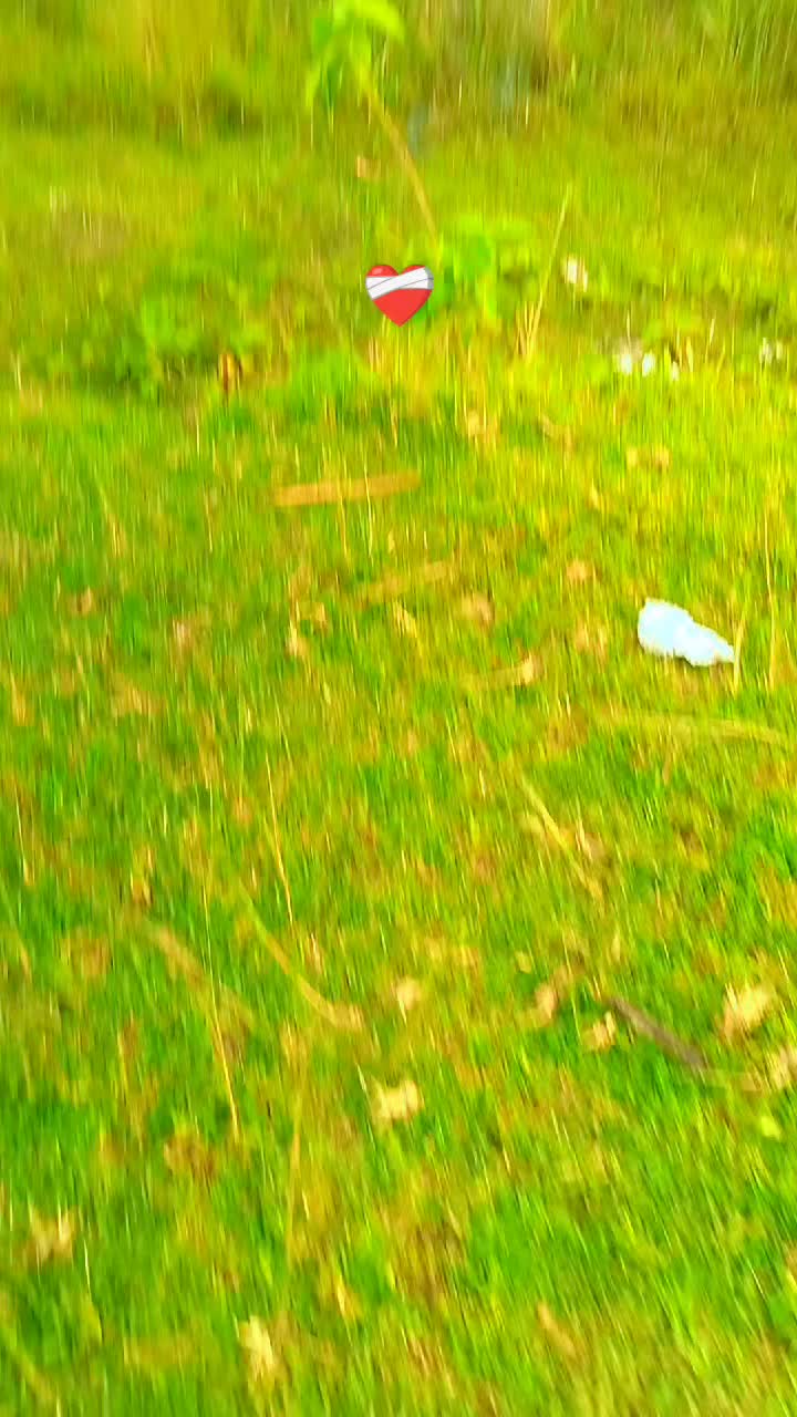 @बदमाश अहिर 🦋🦋