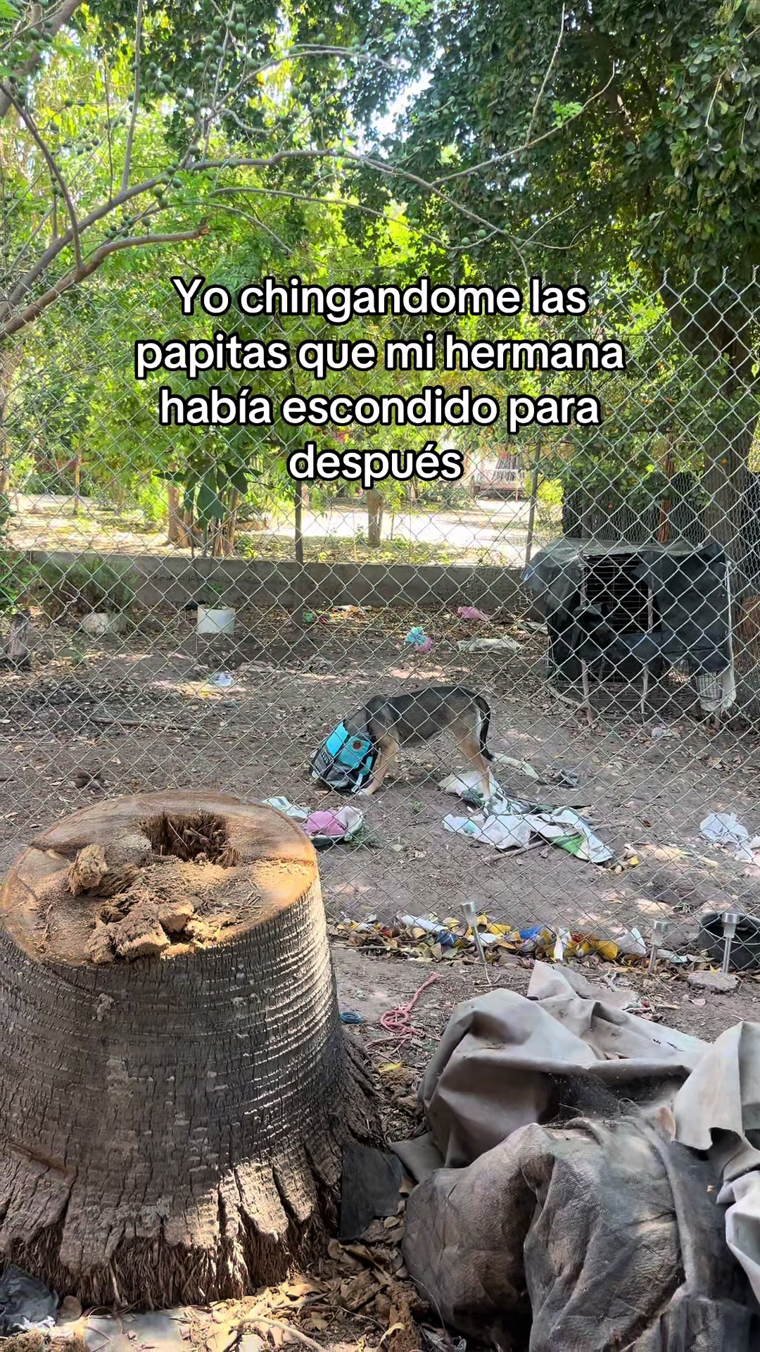 @Elpedrito19
