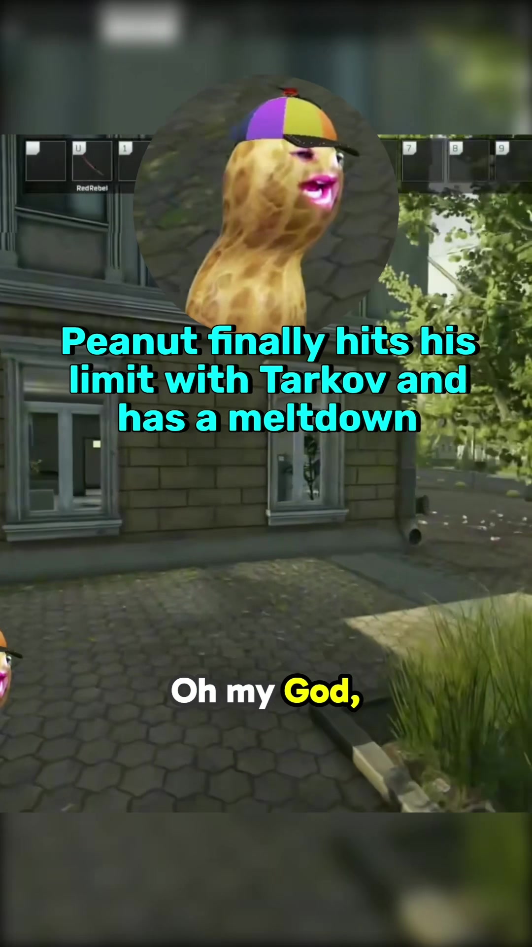 @PeanutClips_Daily