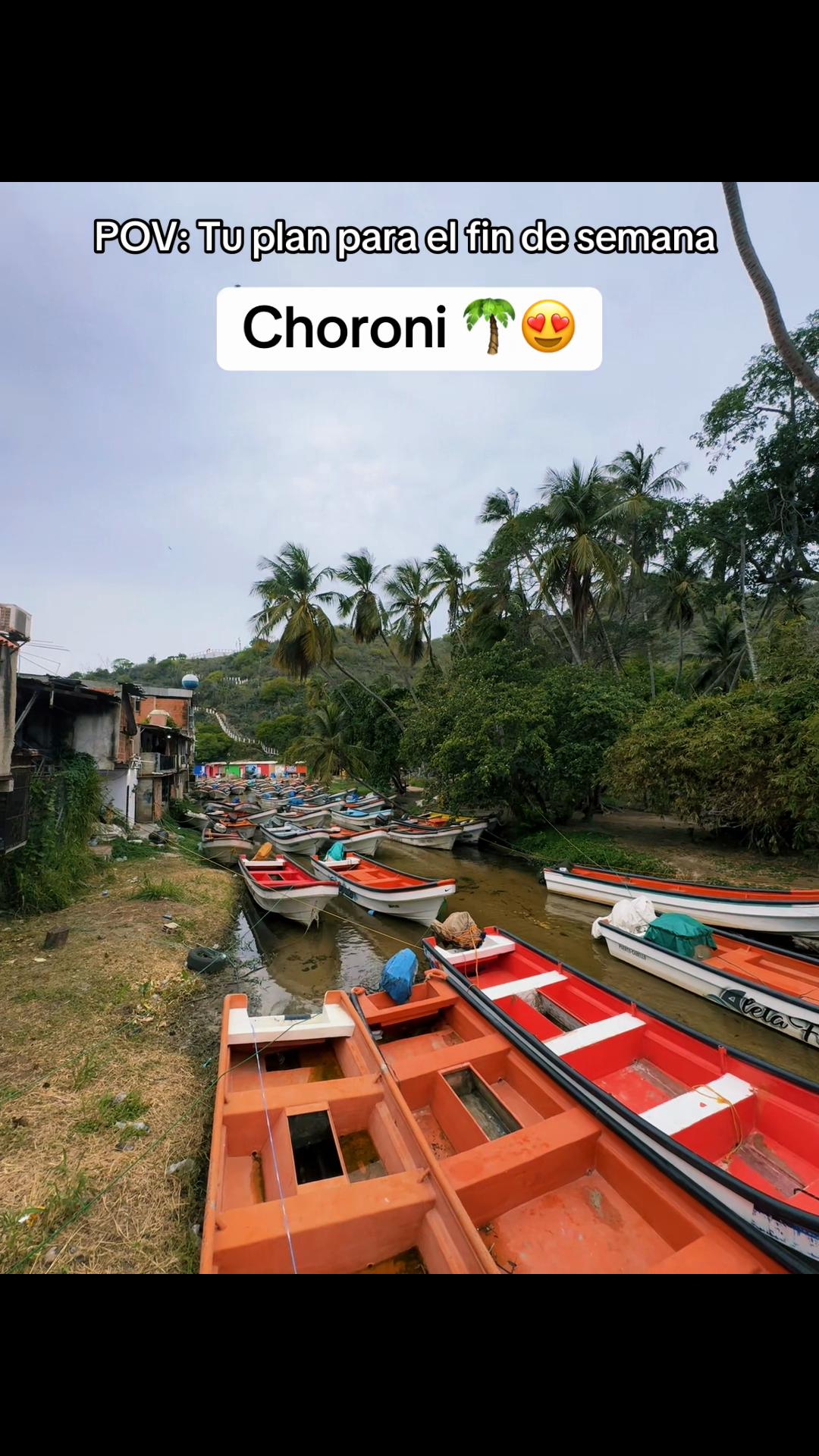 @choroni para ti