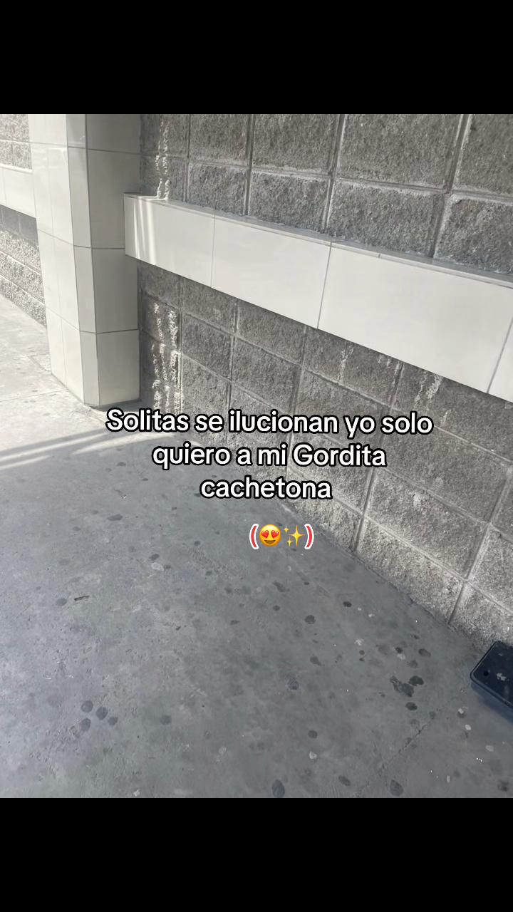 @🗣️Ninci🏳️🌈