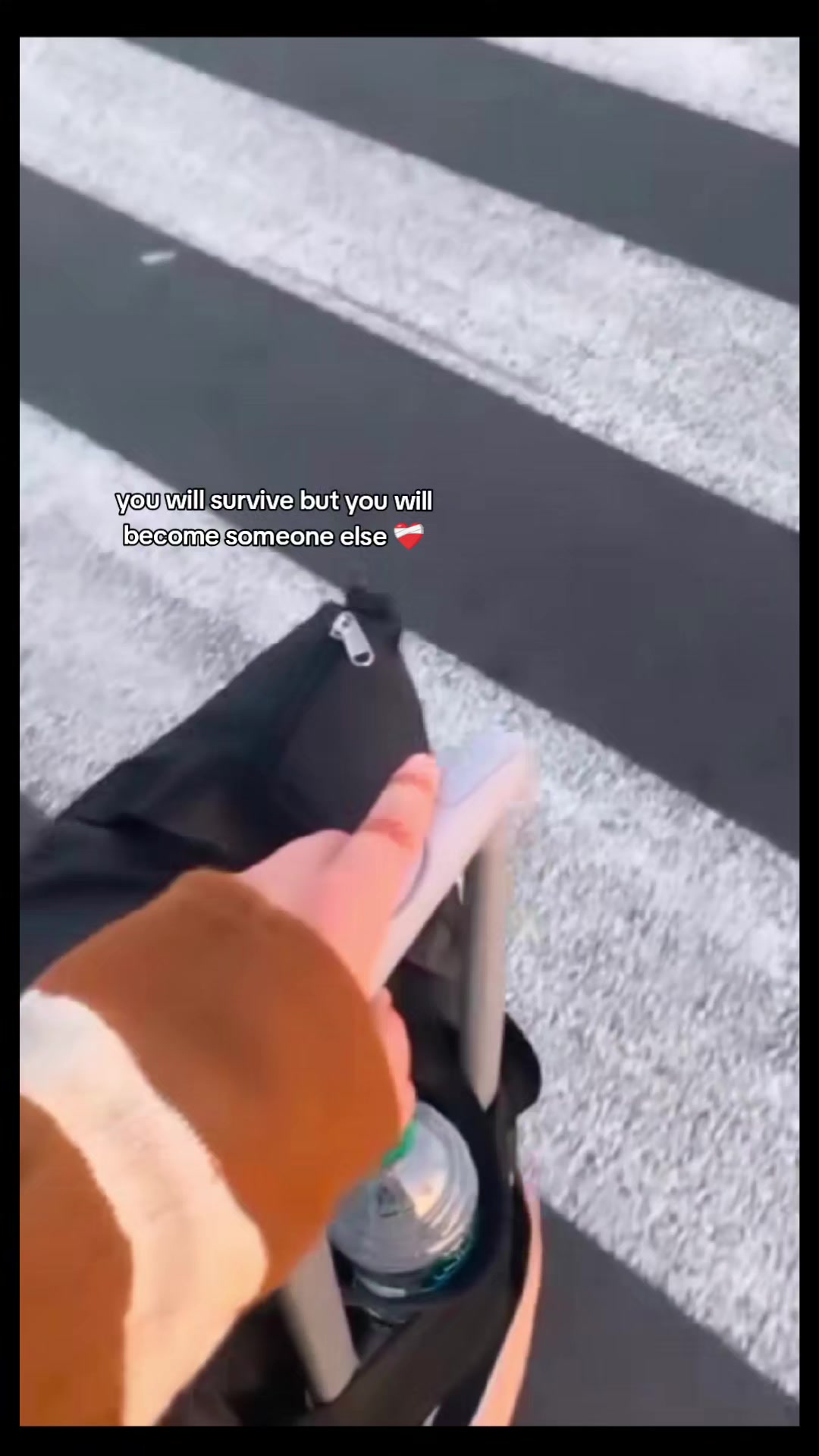 @💠گـل همیشه بـهار💠