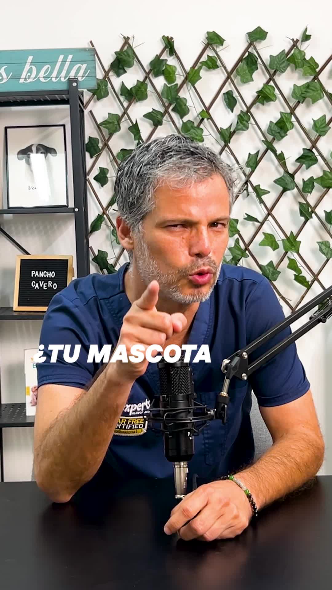 @Pancho Cavero