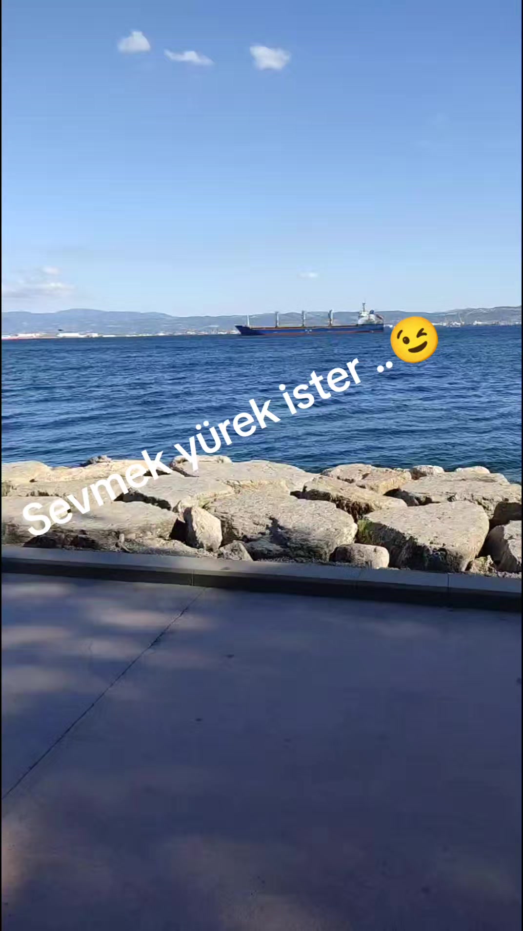 @Ahu Pelin