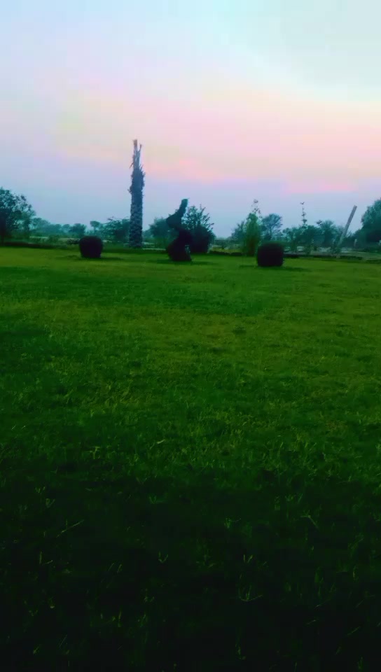 @Dark 🕶️🌑