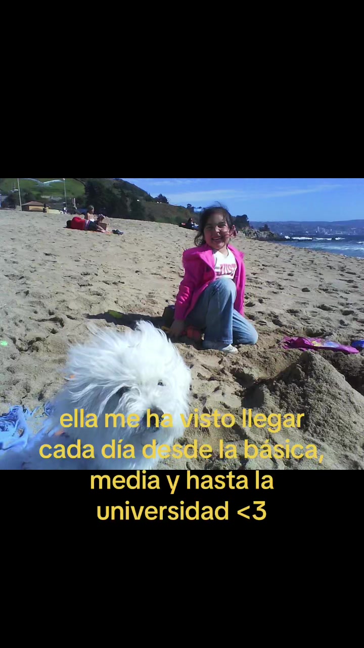 @catita