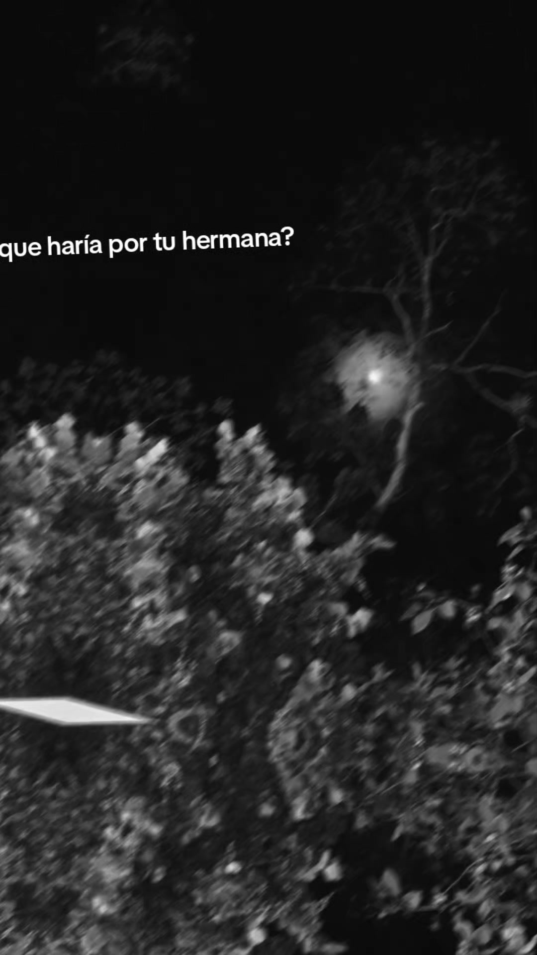 @luna Cruz