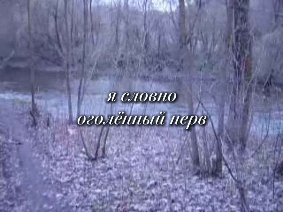 @salvia nn@