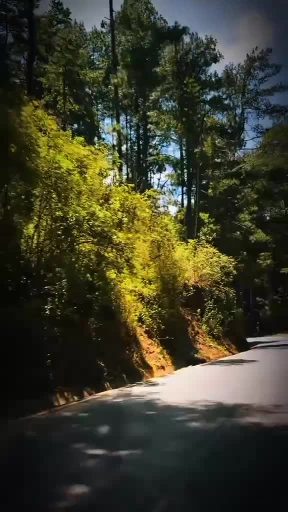 @𝙼𝚎𝚘𝚠 𝙻𝚒𝙻𝚒