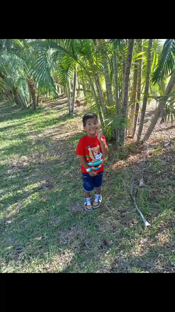 @JULIA ROSA REQUENA CORNEJO