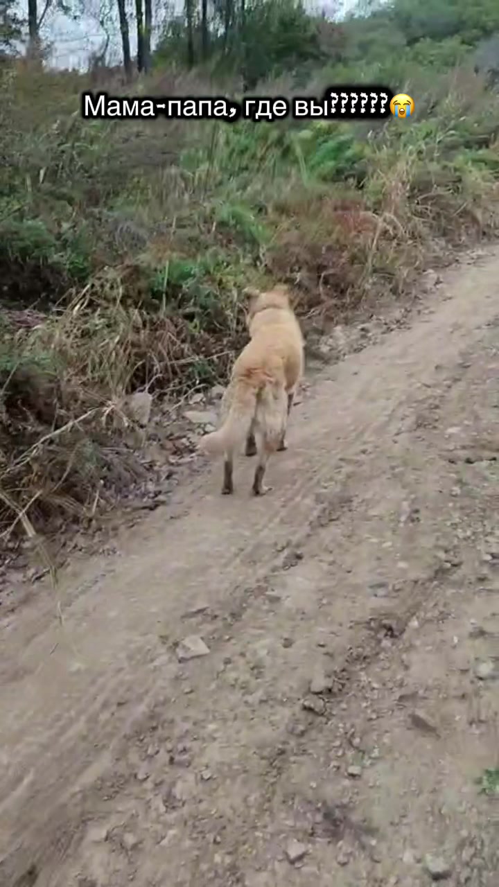 @Яна