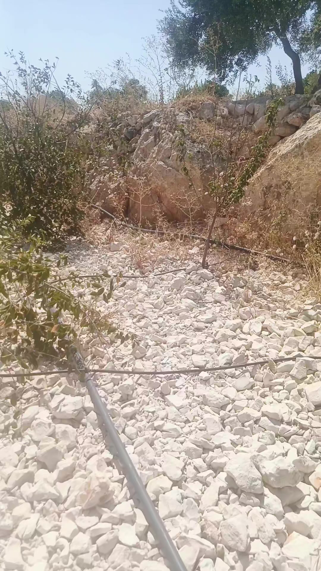 @تعهدات عامه علاء ابو احمد