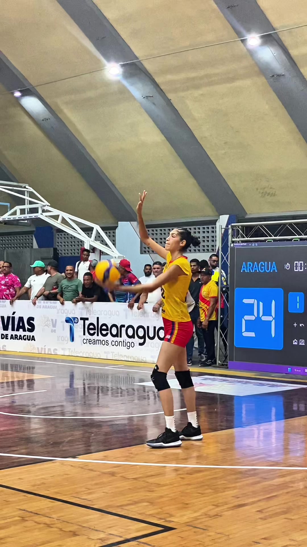 @Aragua Voleibol Club